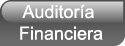 Auditora financiera