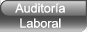 Auditora laboral