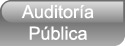 Auditora legal